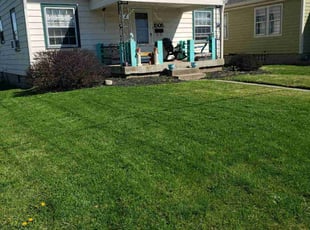 Howard T.'s Lawn Care service result