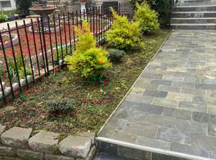 Weeding by Norman Blanchard for Kyle G. in Washington, DC