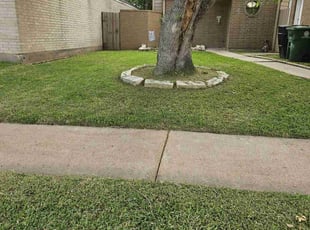 Tom O.'s Lawn Maintenance service result