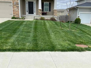 Mary Q.'s Grass Cutting service result