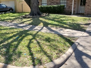 Cleanups by Jose Perez for Ajali S. in Houston, TX