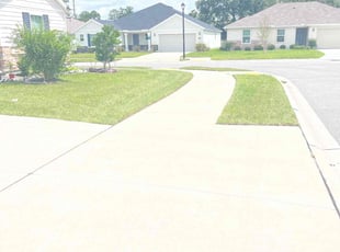 Alexander C.'s Lawn Maintenance service result