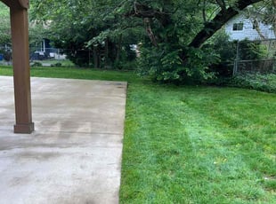 Jeffrey J. B.'s Yard Cutting service result