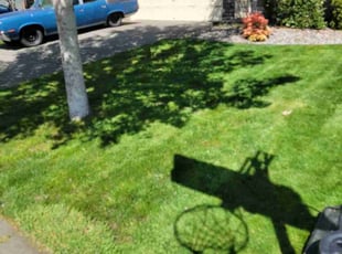 Tina S.'s Lawn Service service result