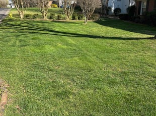 Kay S.'s Lawn Service service result