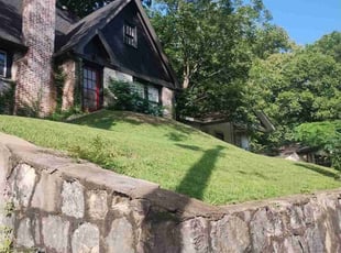 Chenelle B.'s Grass Cutting service result