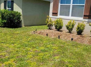 Weeding by Jovan Johnson for Samuel J. in Davenport, FL