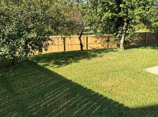 Kyle L.'s Grass Cutting service result