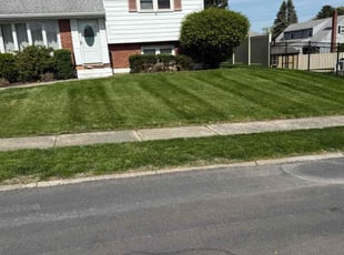 Anthony H.'s Lawn Mowing service result