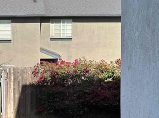 Bush Trimming by Nicholas Poulsen for Barbara S. in Spring Valley, CA