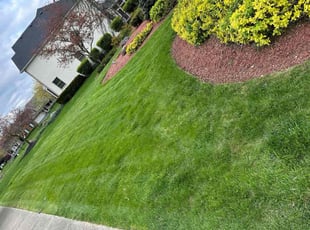 Maria O.'s Lawn Mowing service result