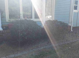 Bush Trimming by Isaiah Cuthbertson for Jessica W. in Concord, NC