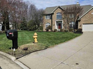 Tammy H.'s Lawn Mowing service result