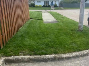 Michael B.'s Lawn Mowing service result