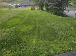 erin a.'s Lawn Maintenance service result