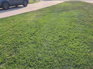 Justin H.'s Yard Cutting service result