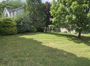 Jonathan S.'s Lawn Mowing Service service result