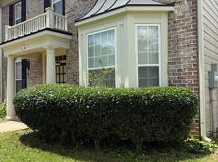 Bush Trimming by Kabais Trice for Lunston D. in Tyrone, GA