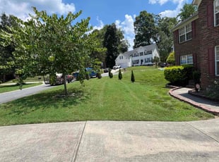 Theresa I.'s Lawn Mowing service result