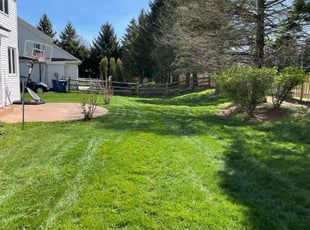 Kristen L.'s Lawn Mowing service result