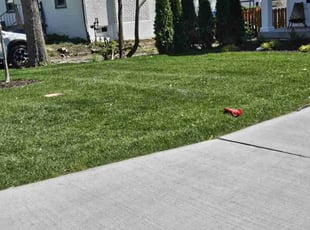 Kent Y.'s Grass Cutting service result