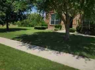 Rami J.'s Lawn Mowing Service service result