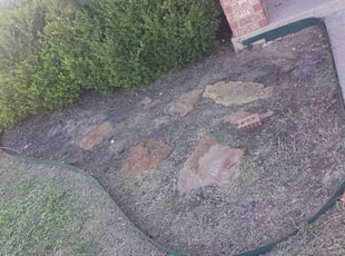 Weeding by Gralin Johnson for Marca W. in Fort Worth, TX