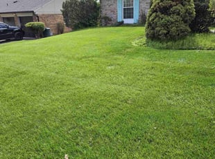 Arthur C.'s Lawn Mowing service result