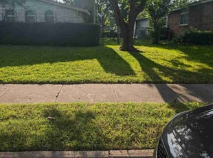 Tia H.'s Lawn Mowing service result