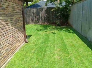 Christopher C.'s Lawn Mowing service result