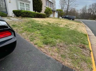 Bush Trimming by Alesandre Duarte for Greg S. in Herndon, VA