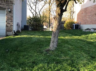 Ina B.'s Lawn Care service result