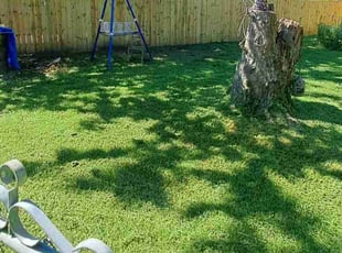 Brando B.'s Lawn Maintenance service result