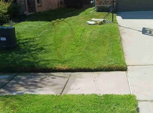 Juanita M.'s Lawn Mowing Service service result