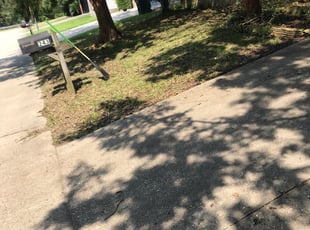 Landscaping by Carl George for William B. in Baton Rouge, LA