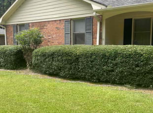 Lawrence E James J.'s Lawn Mowing service result
