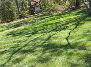 Tom C.'s Lawn Service service result