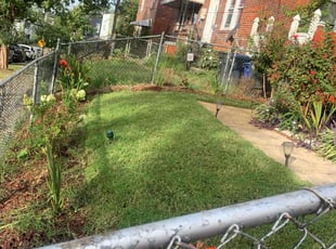 Lisa C.'s Grass Cutting service result