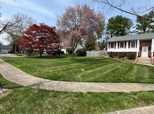 Daniel T.'s Lawn Mowing service result