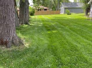 Dave W.'s Lawn Mowing Service service result