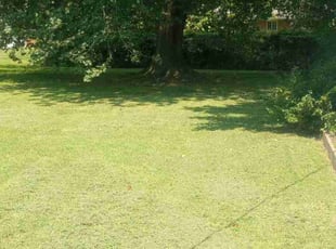 Derk C.'s Lawn Service service result