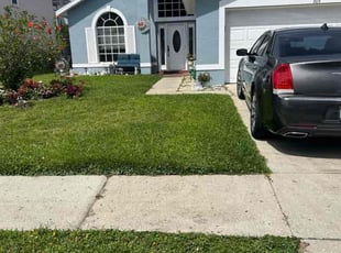 Jason L.'s Lawn Mowing Service service result