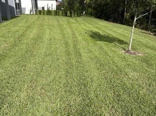 Carrie P.'s Lawn Maintenance service result