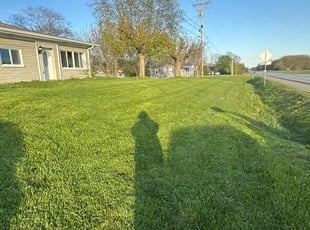Ether T.'s Lawn Care service result