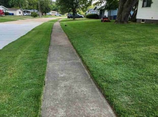 Stephanie W.'s Grass Cutting service result