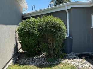 Bush Trimming by Manuel Lucero for Erik M. in Albuquerque, NM