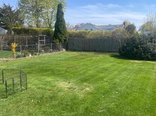 Sean J.'s Lawn Mowing service result