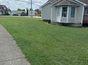 Tania H.'s Lawn Mowing Service service result