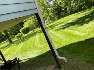 David T.'s Lawn Mowing service result