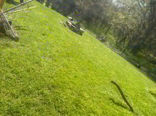 Jessica S.'s Lawn Mowing service result
